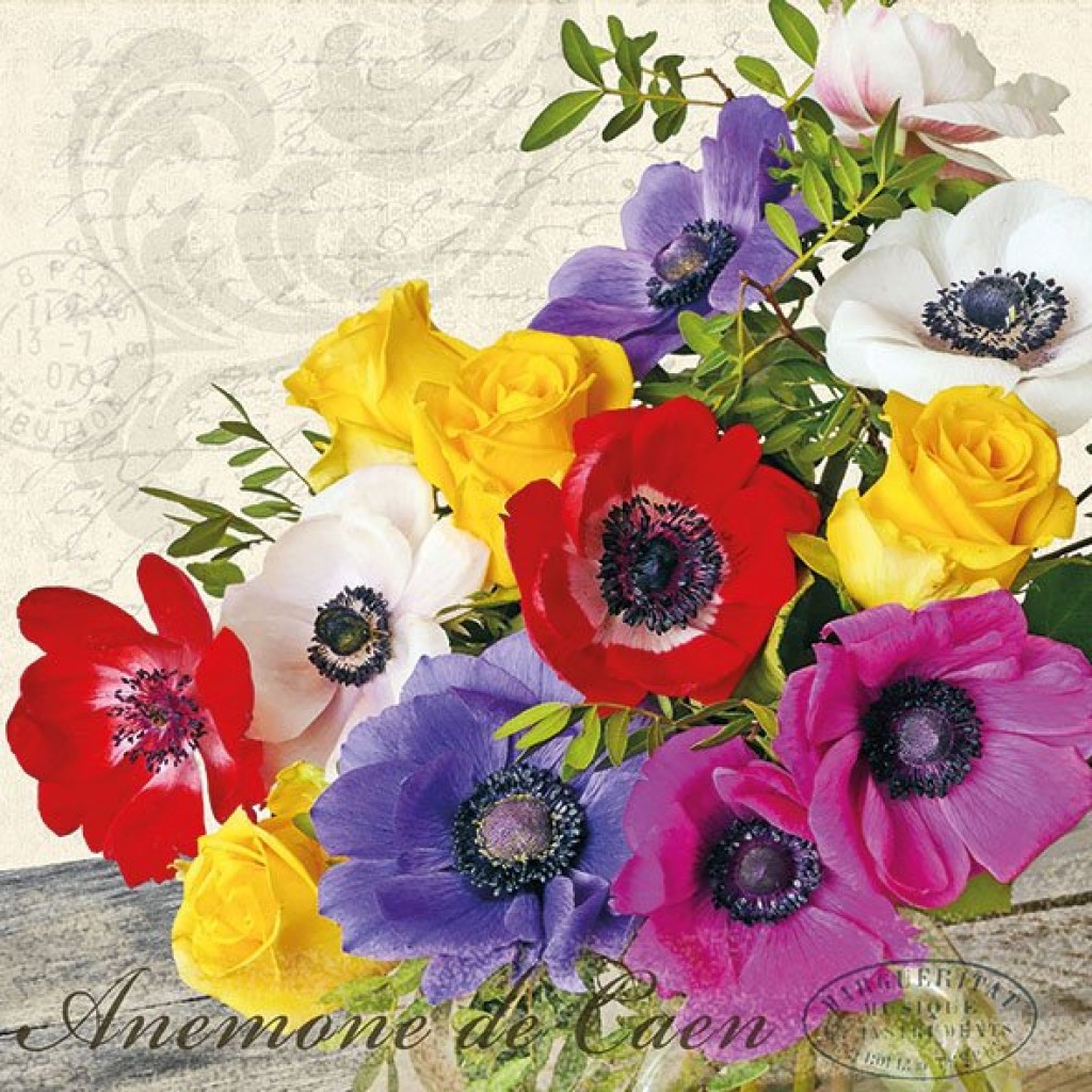 A pack of 12 by 12 inch German Decoupage Napkins (5 pcs) - Anemone De Caen  - 13311210 