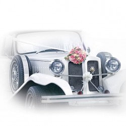 German Decoupage Napkins (5 pcs)  - Wedding Car