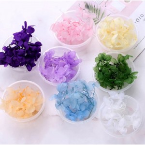 Buy Dried Flowers Online HNDMD Com