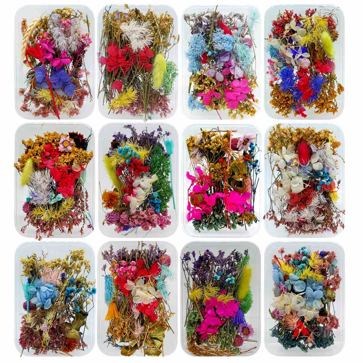 A box of Dried Flowers - YW-1BOX | HNDMD