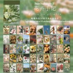 Photo Sticker Book for Journal Ephemeras (50 sheets) - Flowers (WSTZ0228)