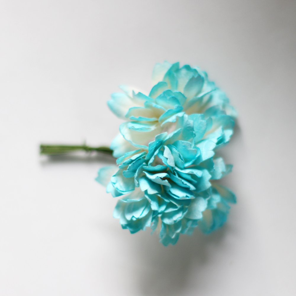 Carnation Flowers - White and Blue (Pack of 10 flowers) - CAMR267 | HNDMD