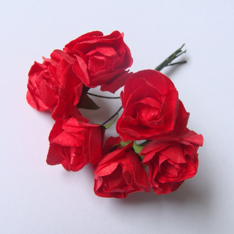 Paper Roses - Red - CAPR-13 | HNDMD